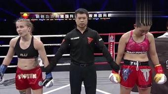 mulan在线观看,勇敢的传承，在线观影之旅